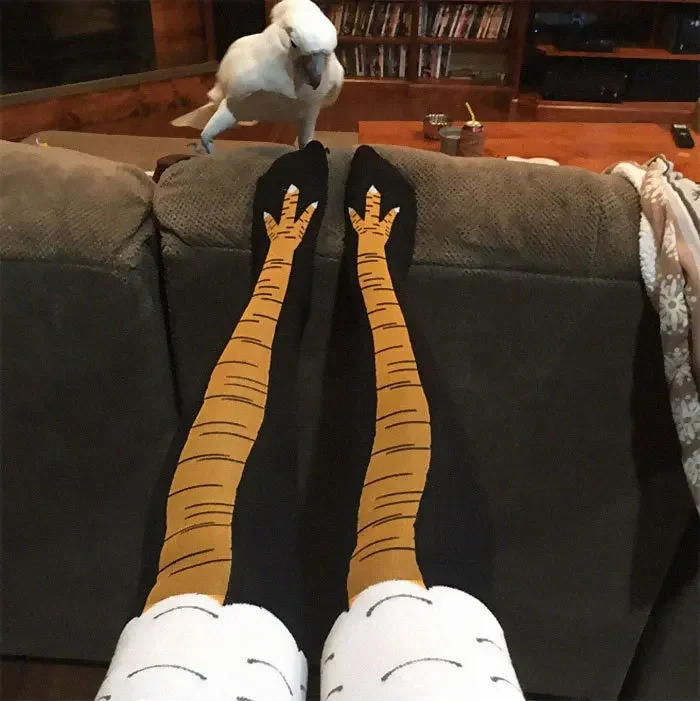 Носки женские до колена, теплы – обзор и цена Funny Chicken Leg Socks